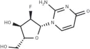 2'-Deoxy-2'-fluoroisocytidine