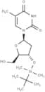 3'-O-t-Bulyldimethylsilyl thymidine