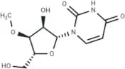 3'-O-Methyluridine