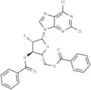 2,6-Dichloropurine -9-β-D-(2'-deoxy-3',5'-di-O-benzoyl-2'-fluoro)arabinoriboside