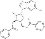 2-Aminopurine -9-β-D-(3',5'-di-O-benzoyl-2'-deoxy-2'-fluoro)arabinoriboside