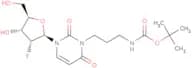 2'-Deoxy-2'-fluoro-N3-[3-(tert-butoxycarbonyl)  amino]propyluridine