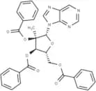 9-(2-C-methyl-2,3,5-tri-O-benzoyl -β-D-ribofuranosyl) purine