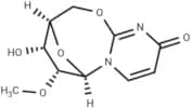 2'-O-Methyl-2,5'-anhydrouridine