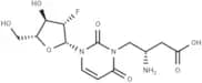 2'-Deoxy-2'-fluoro-N3-(2S)-(2-amino-3-carbonyl]propyl-β-D-arabinouridine