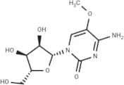 5-Methoxy  cytidine