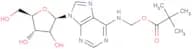 N6-Pivaloyloxymethyladenosine