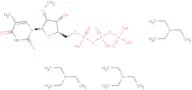 2'-O-Methyl-5-methyluridine  5'-triphosphate triethylammonium salt