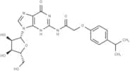 N2-(Isopropylphenoxyacetyl)guanosine