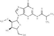 2'-O-Methyl-N2-isobutyroylguanosine