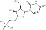 1-[6-Phosphono-2-O-methyl-β-D-ribo-hexofuranosyl]uracil
