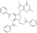 3,6-Dibromo-1,5-dihydro-1-(2,3,5-tri-O-benzoyl-b-D-ribofuranosyl)-4H-pyrazolo[3,4-d]pyrimidin-4-one