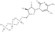 2'-Deoxy-2'-fluoro-5-methyl-araobinocytidine  5'-triphosphate triethyl ammonium salt(79570-62-0 fr…