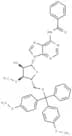N6-Benzoyl-5'-O-(4,4'-dimethoxytrityl)-3'-O-methyl adenosine