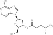 3'-O-Levulinyl-2'-deoxyadenosine