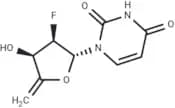 4',5'-Didehydro-2',5'-dideoxy-2'-fluorouridine