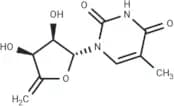 4',5'-Didehydro-5'-deoxy-5-methyluridine