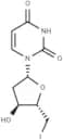 2',5'-Dideoxy-5'-iodouridine