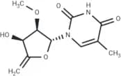 4',5'-Didehydro-2'-O-methyl-5-methyluridine