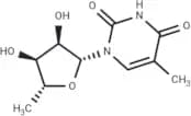 5'-Deoxy-5-methyluridine