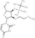 3'-O-(t-Butyldimethylsilyl)-2'-O-(2-methoxyethyl) uridine