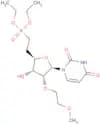 1-[6-(Diethoxyphosphinyl)-2-O-(2-methoxyethyl)-β-D-ribo-hexofuranosyl]uracil