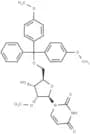 5'-O-(4,4'-Dimethoxytrityl)-2'-O-methyl-2-thiouridine