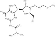 N2-iso-Butyroyl-3'-O-(methoxyethyl)guanosine