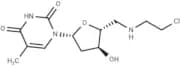 5'-Deoxy-5'-N-(2-chloroethyl)aminothymidine
