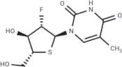 2'-Deoxy-2'-fluoro-5-methyl-4'-thio-a-D-arabinouridine