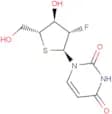2'-Deoxy-2'-fluoro-4'-thio-a-D-arabinouridine