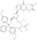 5'-DMTr-dG(iBu)   -Methyl phosphonamidite