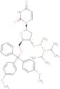 5'-O-DMTr-dU-methyl   phosphonamidite