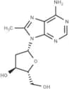 8-Methyl-2'-deoxyadenosine