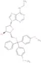 5'-O-DMTr-N6-ethyl-2'-deoxyadenosine