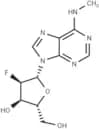 2'-Deoxy-2'-fluoro-N6-methyladensoine
