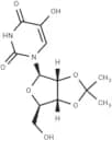 2',3'-Isopropylidene-5-hydroxyuridine