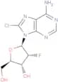 8-Chloro-2'-deoxy-2'-fluoroadenosine