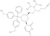 N-DMTr-morpholino-U-5'-O-phosphoramidite