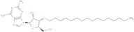 3'-O-Hexadecanyl-2-aminoadenosine