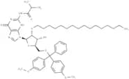 N2-iBu-5'-O-DMTr-2'-O-hexadecanyl guanosine