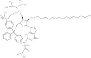 N2-iBu-5'-O-DMTr-2'-O-hexadecanyl guanosine 3'-CED phosphoramidite