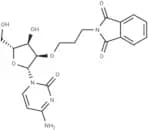 2'-O-Phthalimidopropyl cytidine