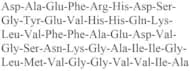 β-Amyloid (1-42), human
