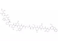 Galanin (1-16), mouse, porcine, rat