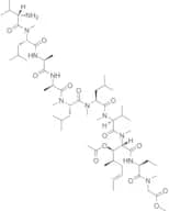 Cyclosporin A-Derivative 2