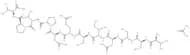 Prepro VIP (111-122), human acetate
