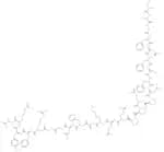 α 1(I) Collagen (614-639), human