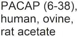PACAP (6-38), human, ovine, rat acetate
