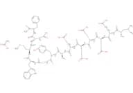 Mini Gastrin I, human acetate